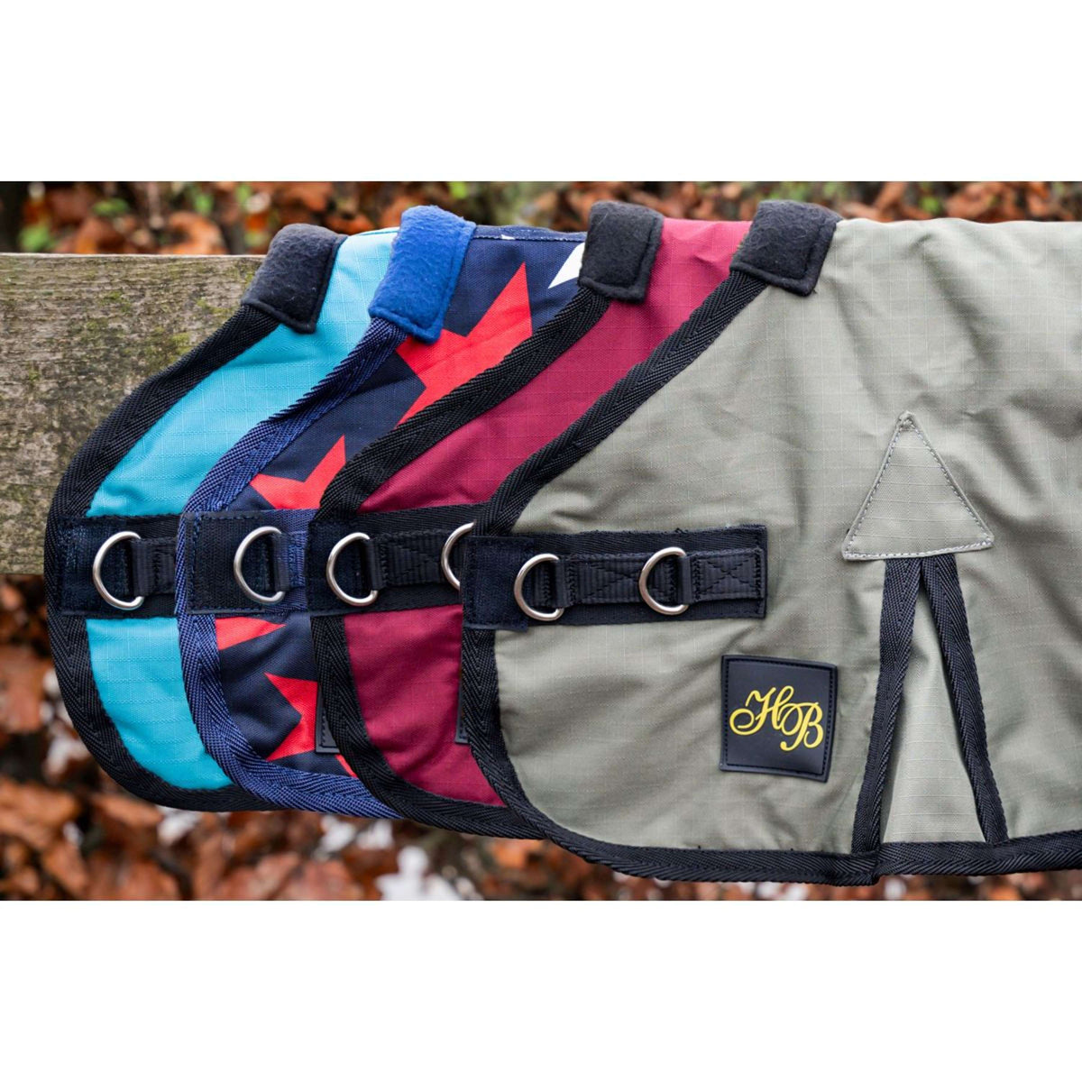 HB Manta para Potro Ukki Bordeaux