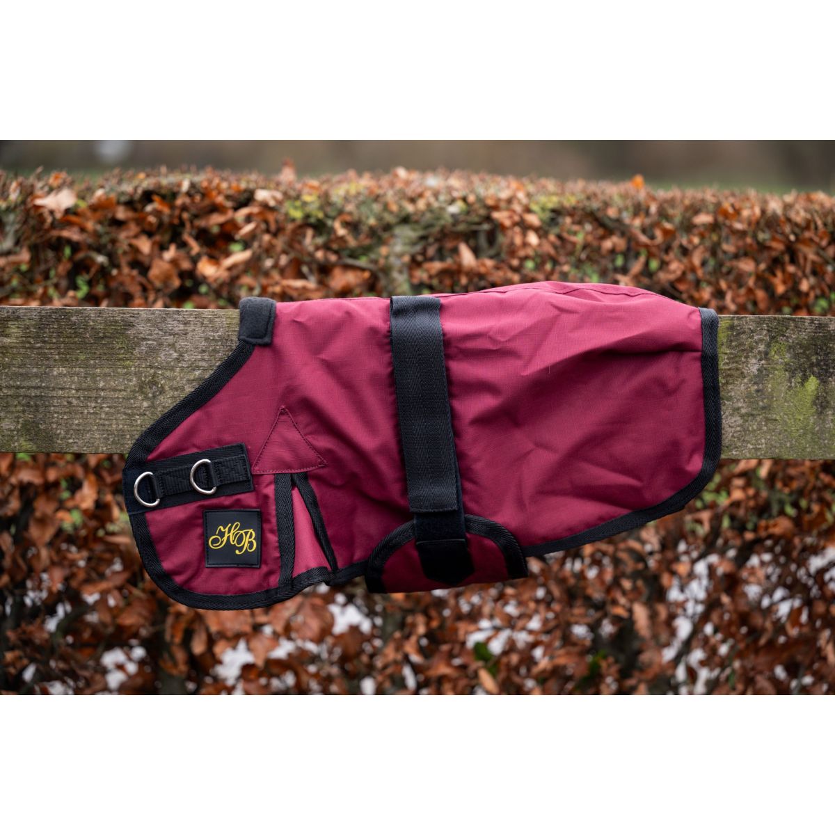 HB Manta para Potro Ukki Bordeaux