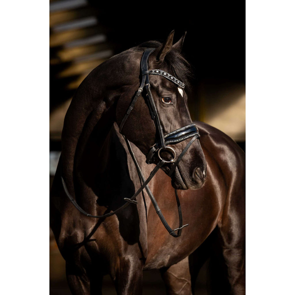 HB Brida Black River Negro