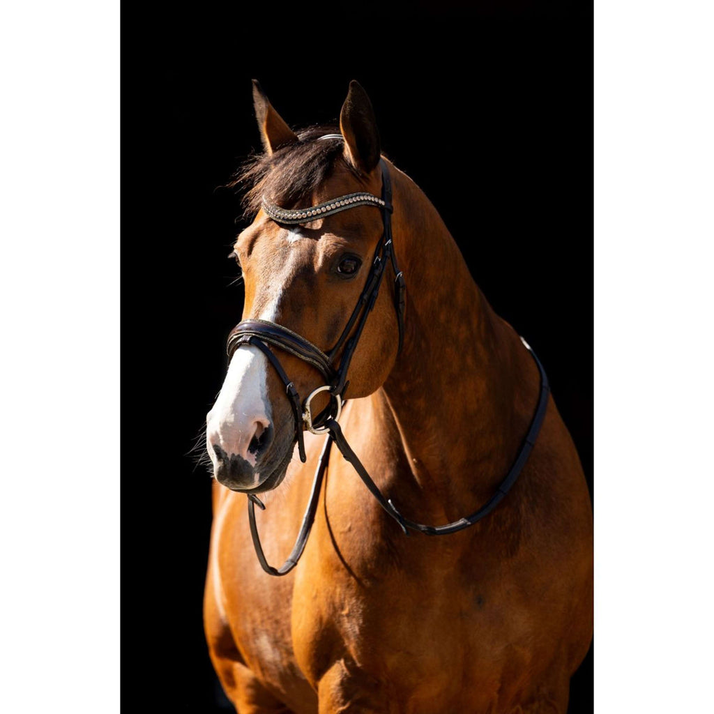 HB Brida Jump Rocky Marron Brillante