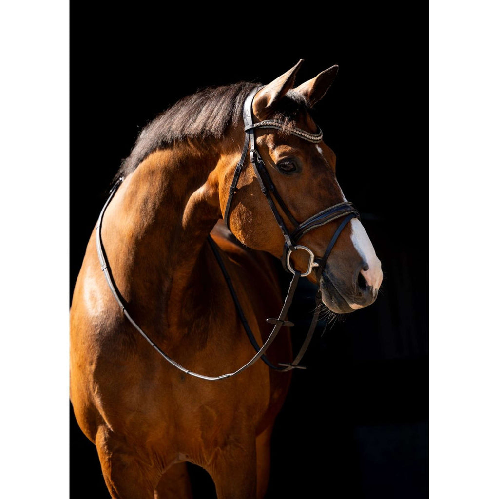 HB Brida Jump Rocky Marron Brillante