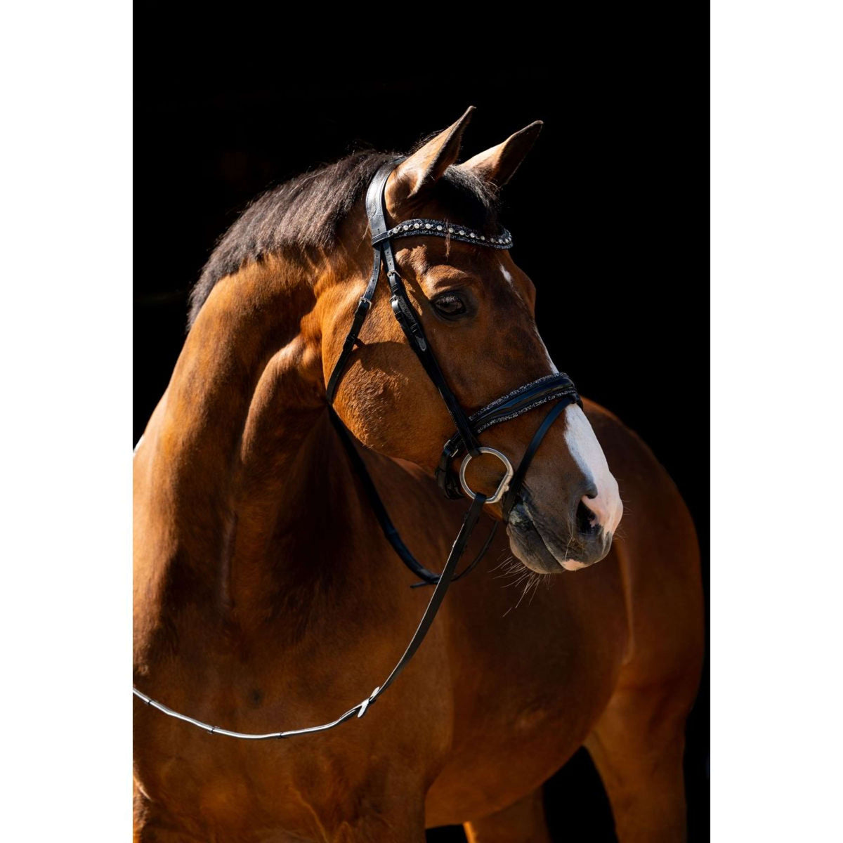 HB Brida Jump Rocky Purpurina/Negro