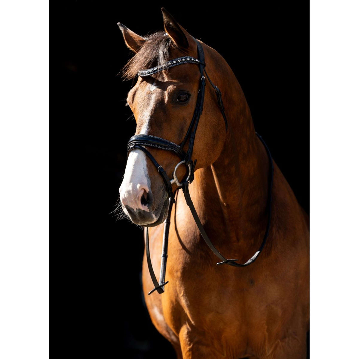 HB Brida Jump Rocky Purpurina/Negro