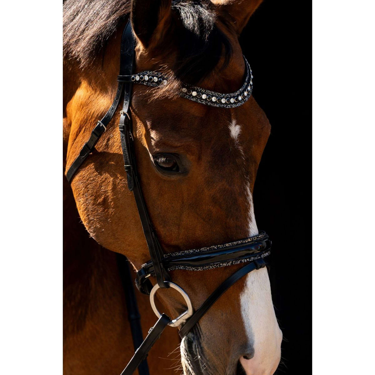 HB Brida Jump Rocky Purpurina/Negro