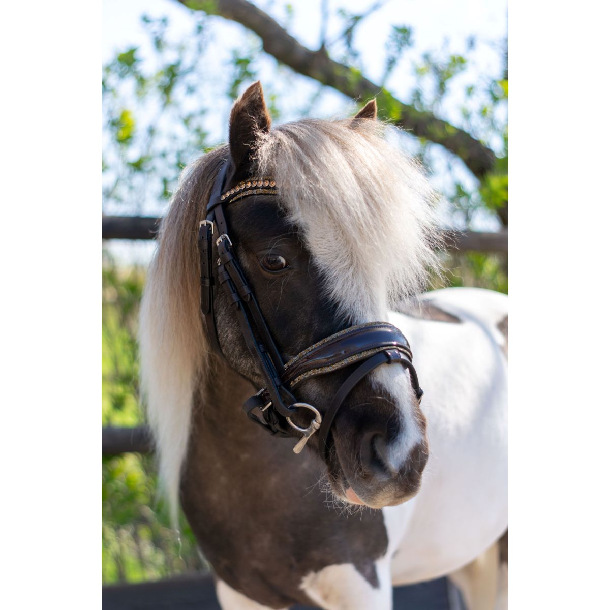 HB Brida Rocky Marron Brillante