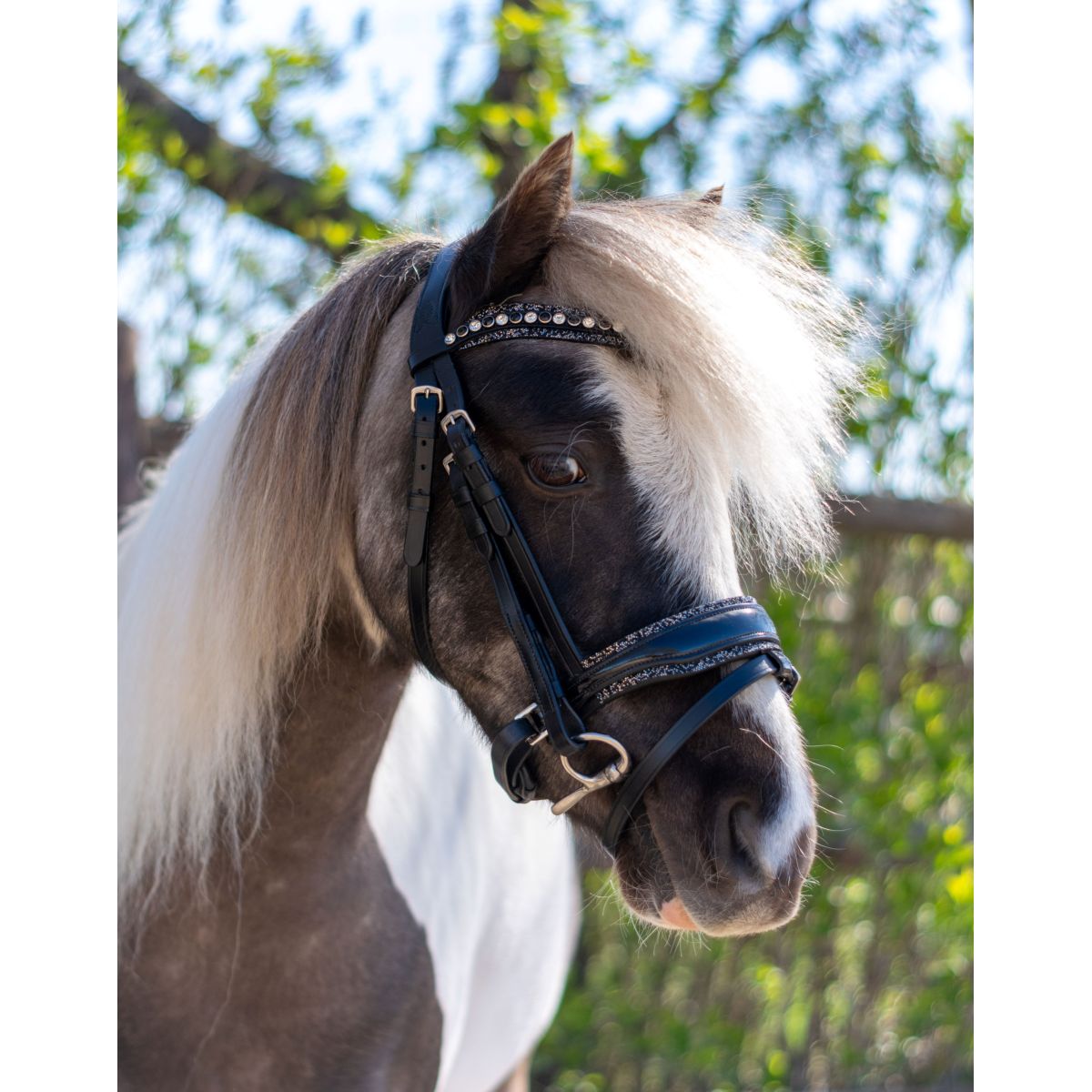 HB Brida Rocky Purpurina/Negro