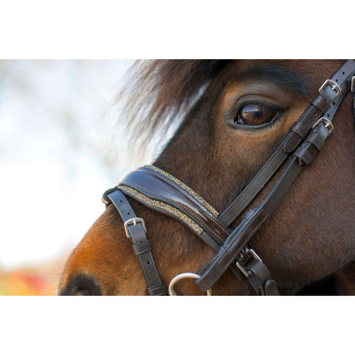 HB Brida Rocky Marron Brillante