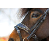 HB Brida Rocky Marron Brillante