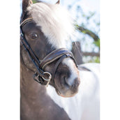 HB Brida Rocky Marron Brillante