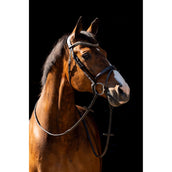 HB Brida Jump Marron