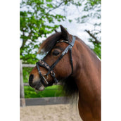 HB Ruitersport Brida Showtime Leopard Negro