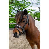 HB Ruitersport Brida Showtime Leopard Negro