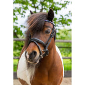 HB Ruitersport Brida Showtime Petit Royal Negro
