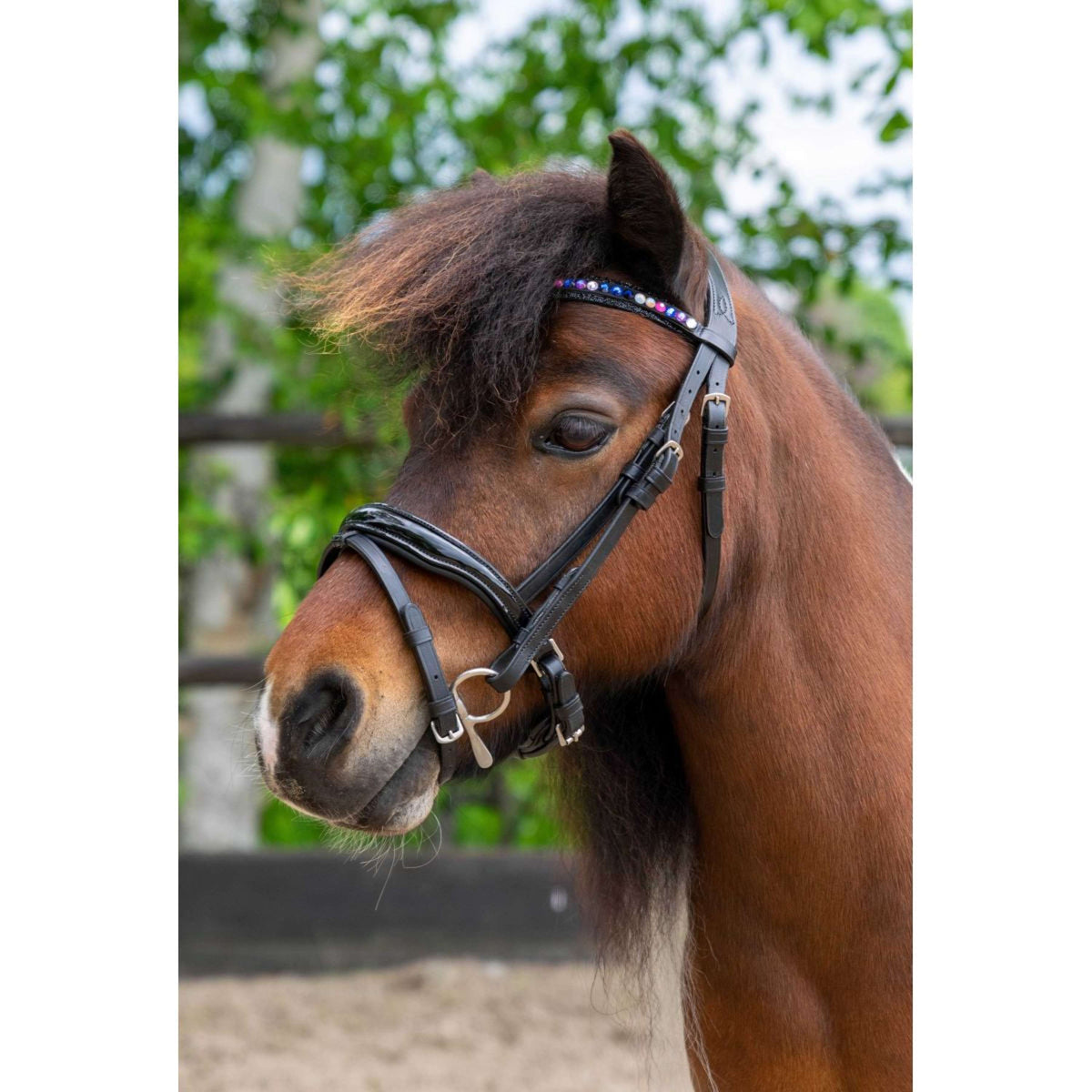 HB Ruitersport Brida Showtime Petit Royal Negro