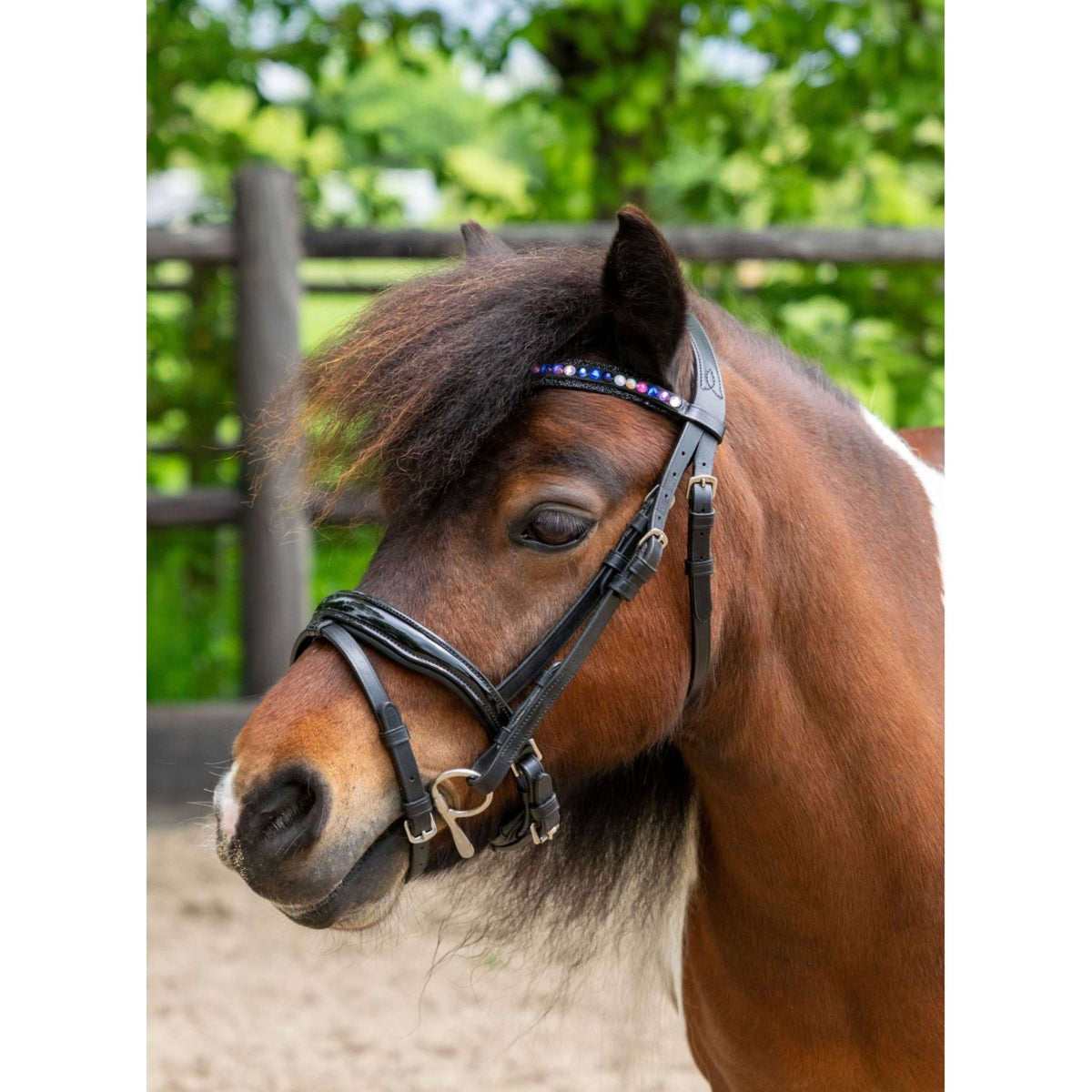 HB Ruitersport Brida Showtime Petit Royal Negro