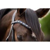 HB Ruitersport Brida Las Vegas Negro/Azul Marino Brillo