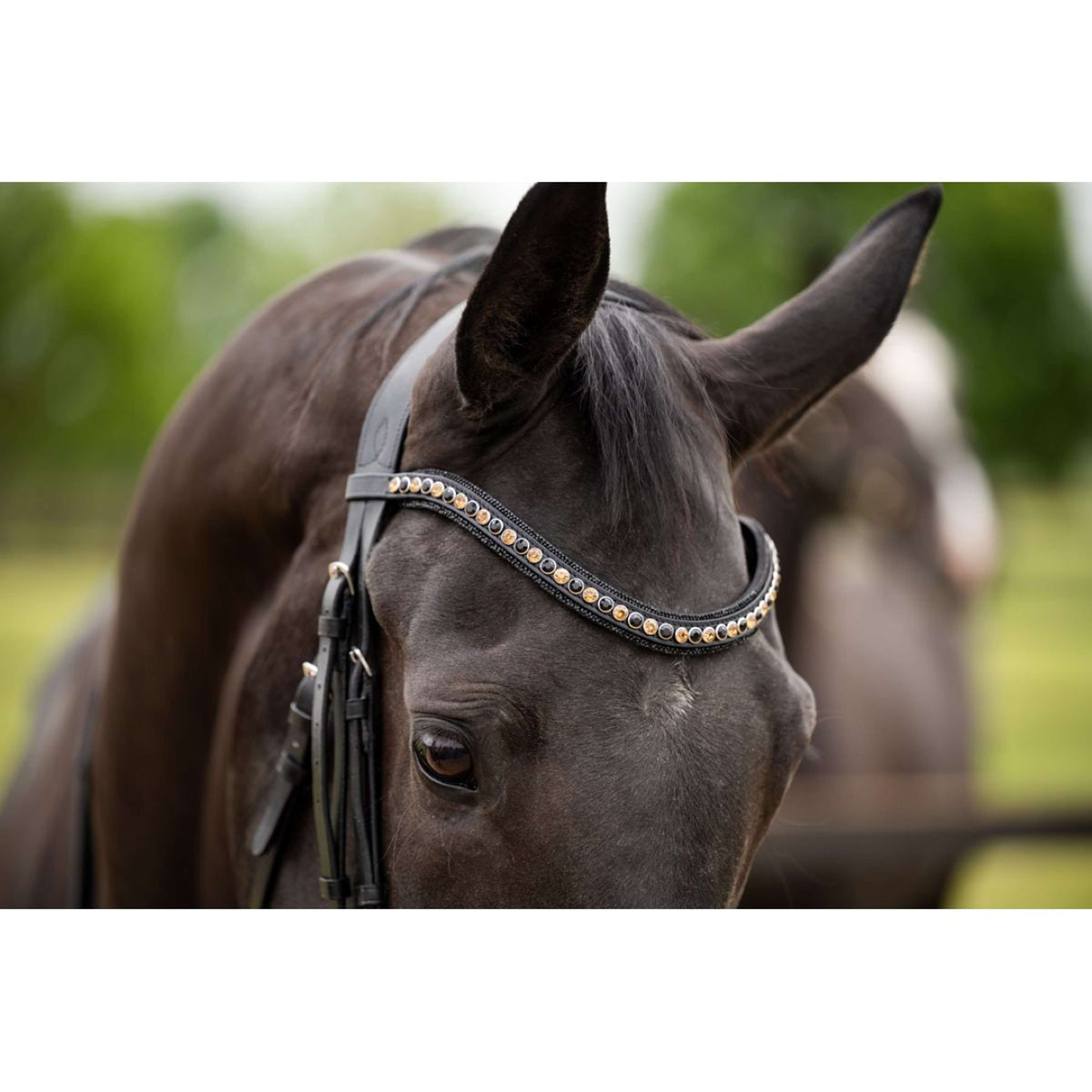 HB Brida Las Vegas Negro/Negro Brillo