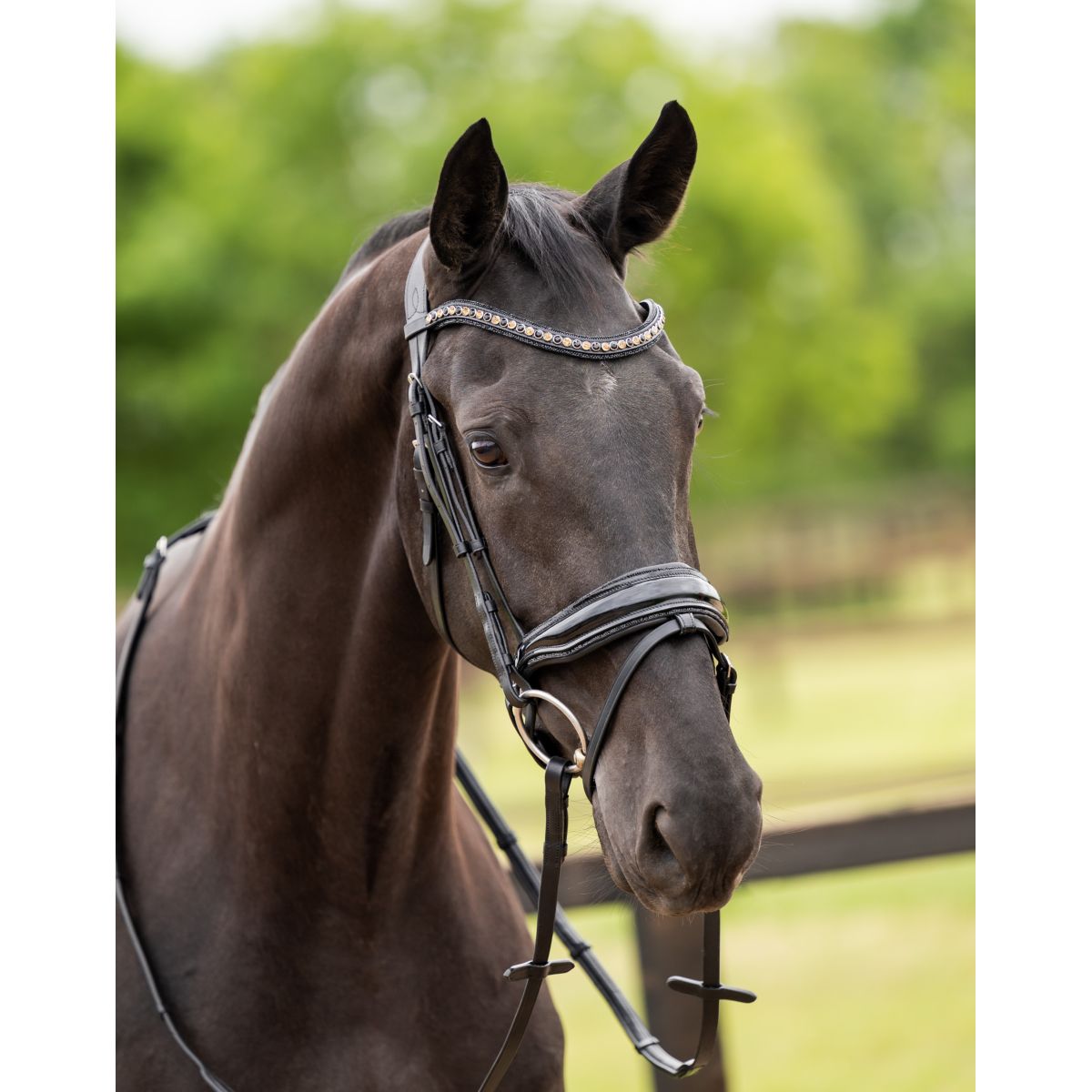 HB Brida Las Vegas Negro/Negro Brillo