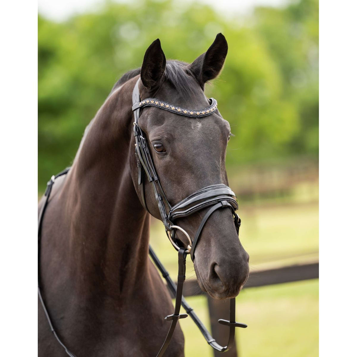 HB Brida Las Vegas Negro/Negro Brillo