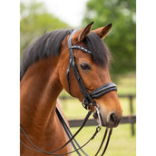 HB Ruitersport Brida All You Needed Negro/Azul Marino Brillo