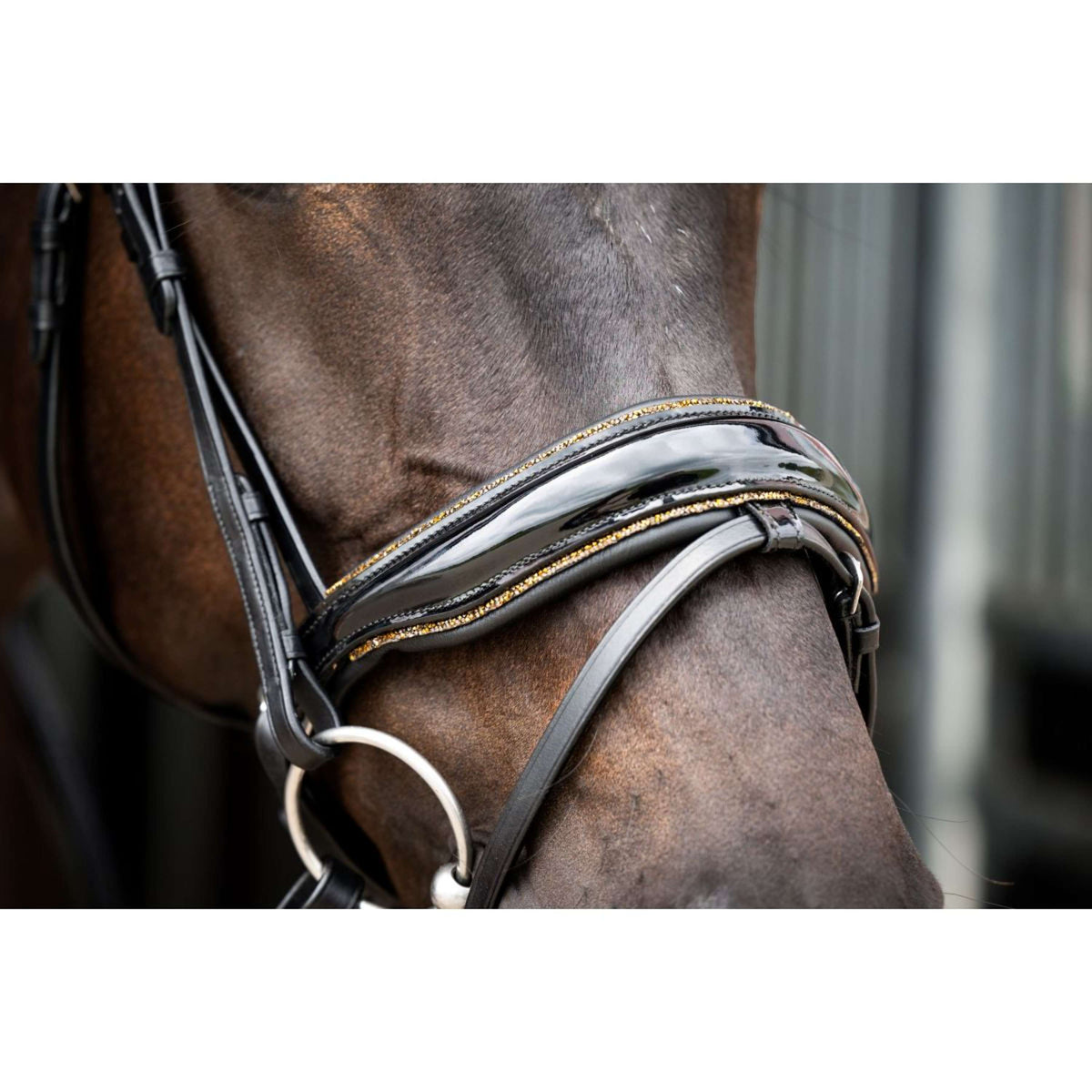 HB Ruitersport Brida Golden Dreams Negro/Oro Brillante