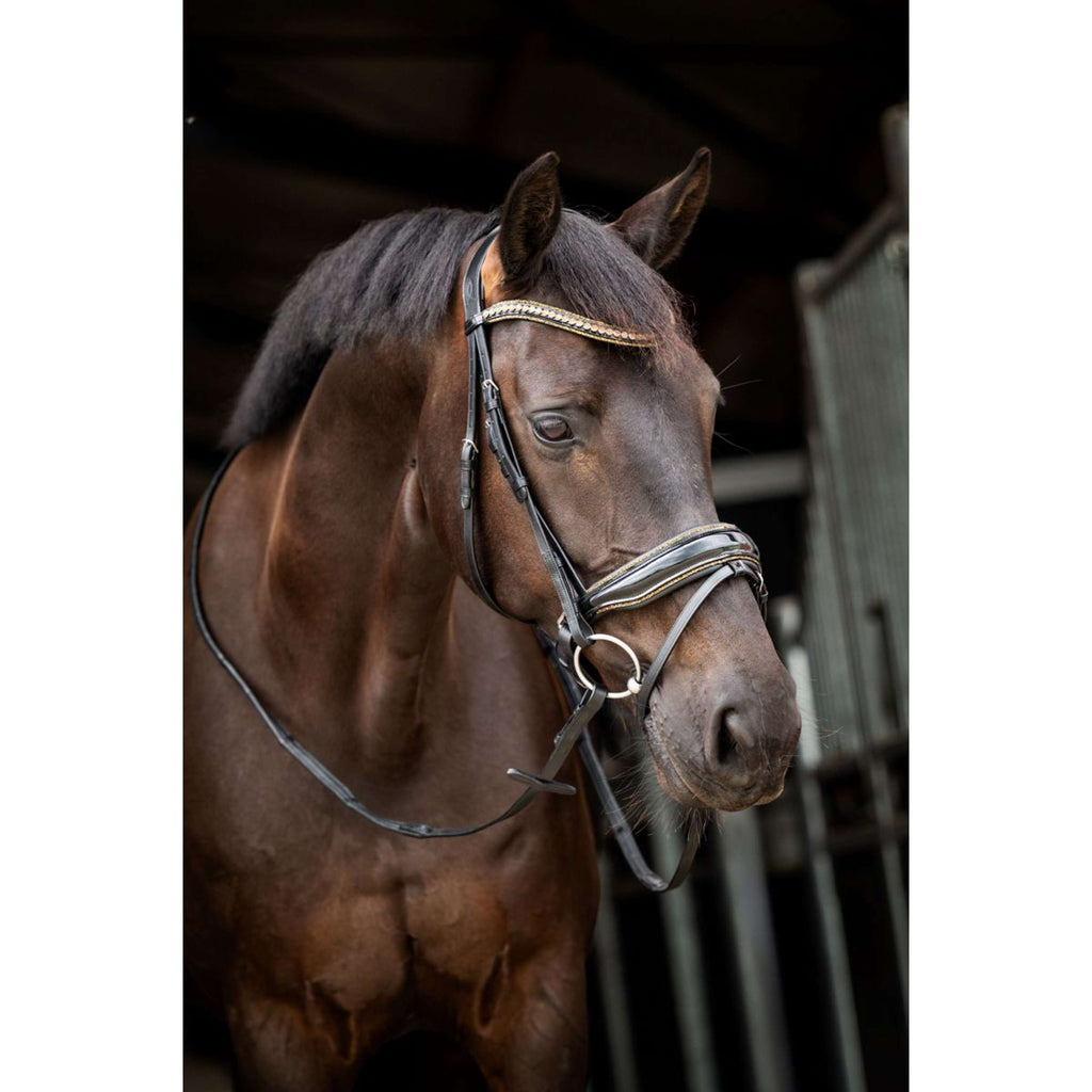 HB Brida Golden Dreams Negro/Oro Brillante