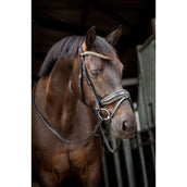 HB Ruitersport Brida Golden Dreams Negro/Oro Brillante