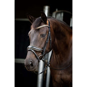 HB Ruitersport Brida Golden Dreams Negro/Oro Brillante