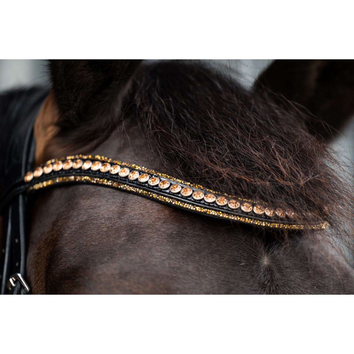 HB Ruitersport Brida Golden Dreams Negro/Oro Brillante