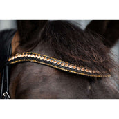 HB Ruitersport Brida Golden Dreams Negro/Oro Brillante