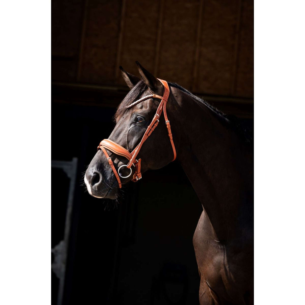 HB Brida Chesnuth Cognac