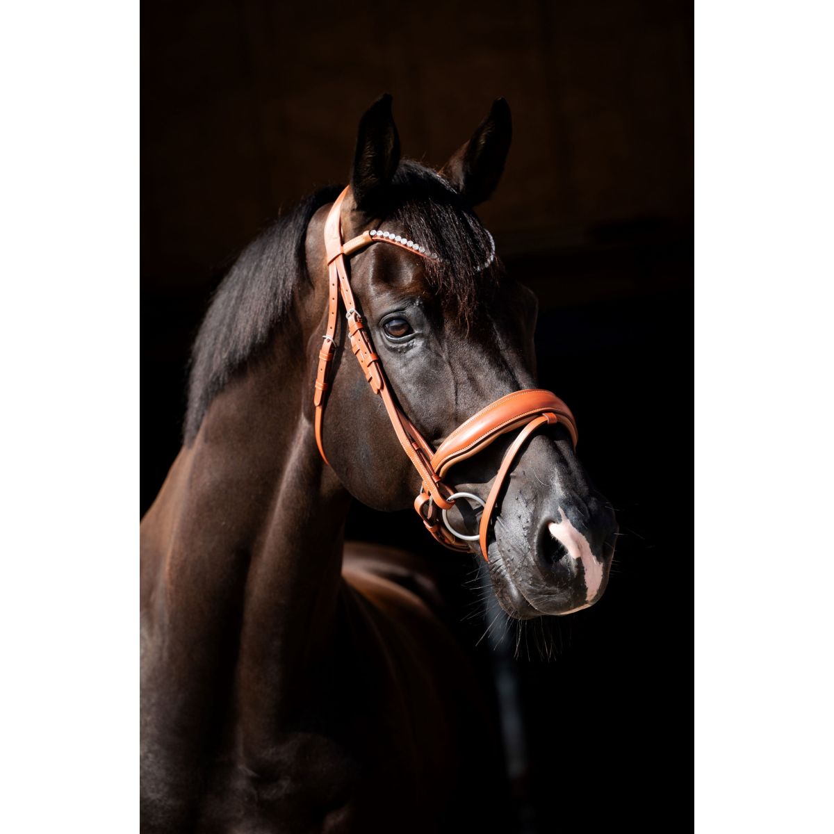 HB Brida Chesnuth Cognac