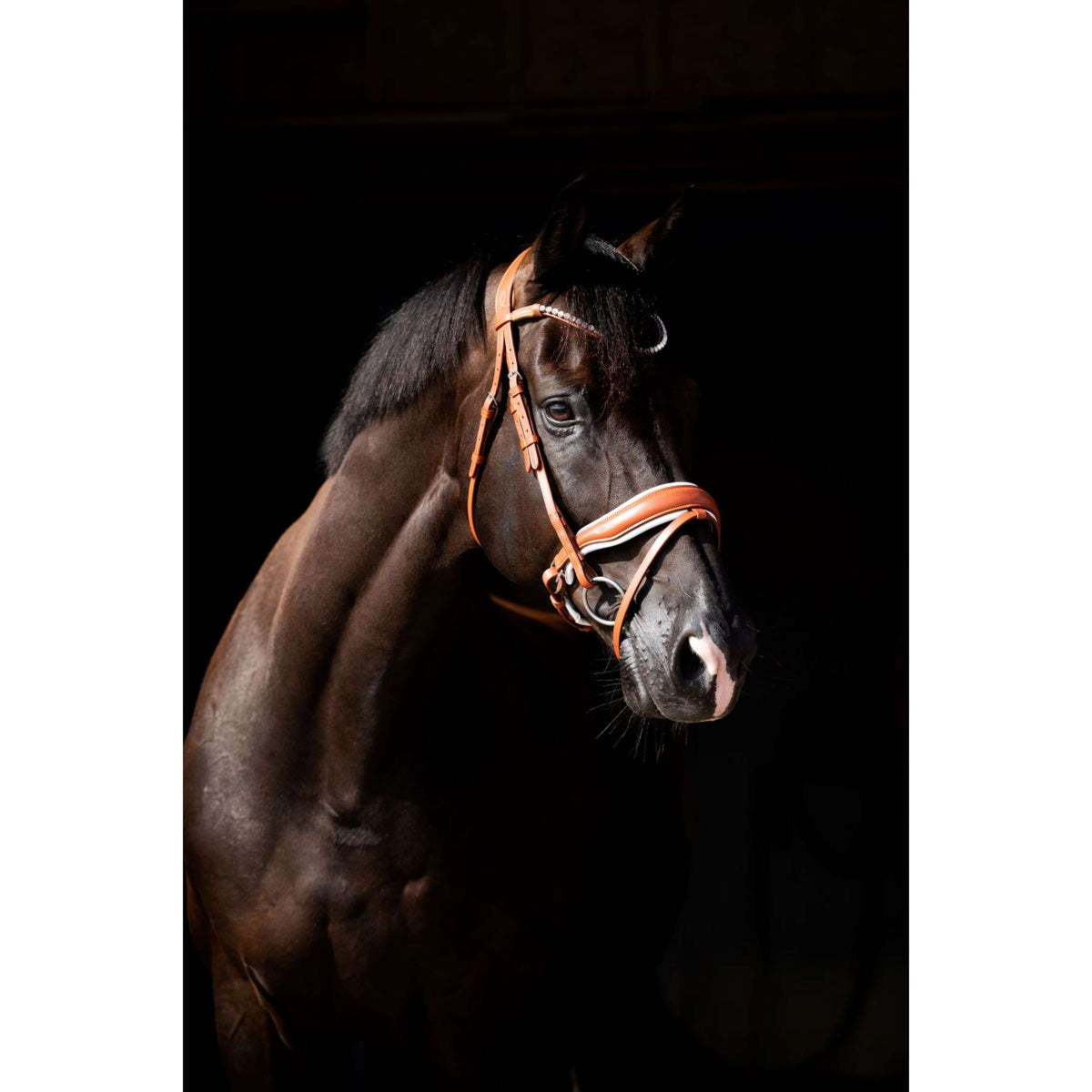 HB Brida Chesnuth Cognac/Blanco