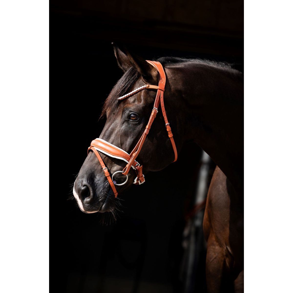 HB Brida Chesnuth Cognac/Blanco