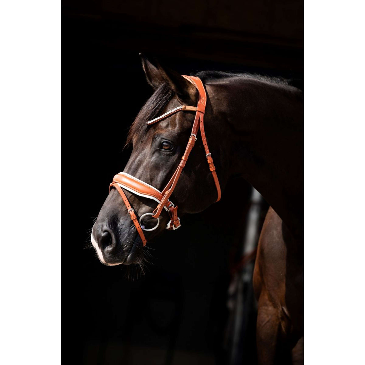 HB Brida Chesnuth Cognac/Blanco