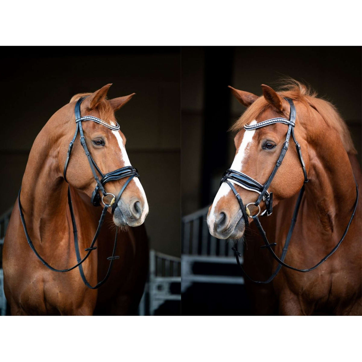 HB Brida Snowflake Negro