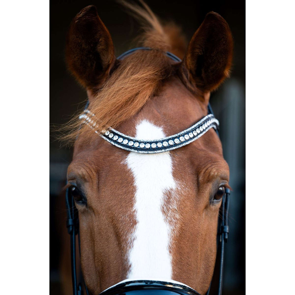 HB Brida Snowflake Negro/Blanco