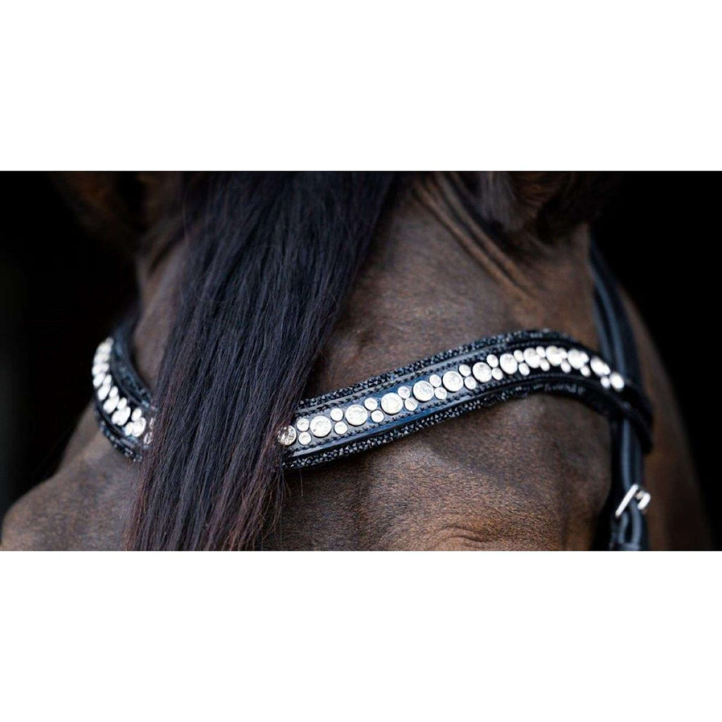 HB Ruitersport Frontal Showtime To Nice Negro