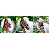 HB Cabezada Sunny Flower Azul