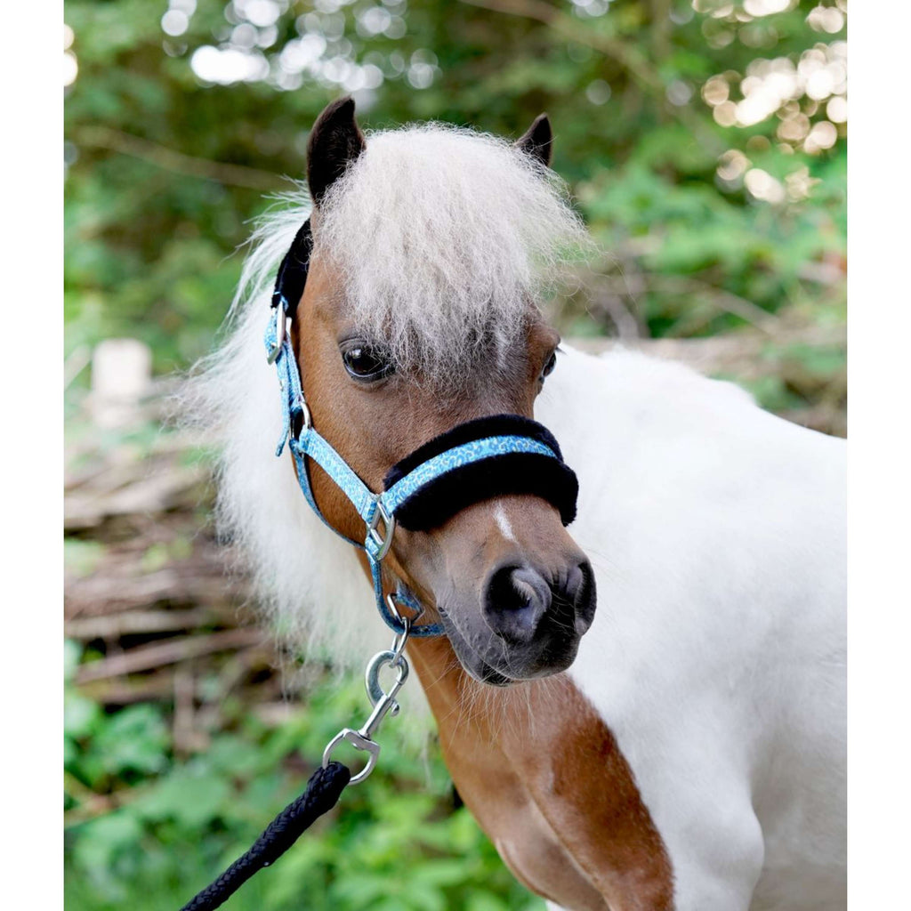 HB Cabestro Sunny Flower Azul