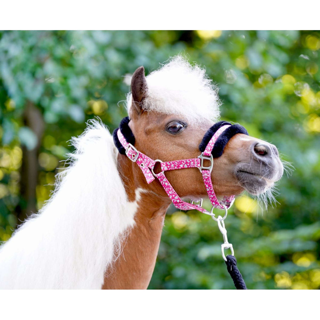 HB Cabestro Sunny Flower Fuchsia