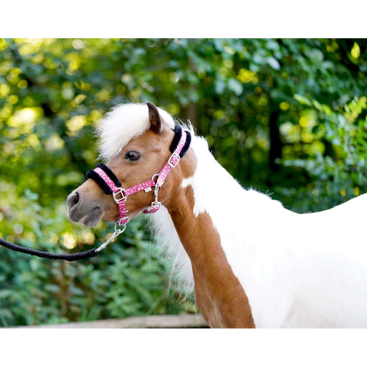 HB Cabezada Sunny Flower Fuchsia