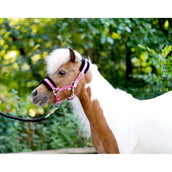 HB Cabezada Sunny Flower Fuchsia