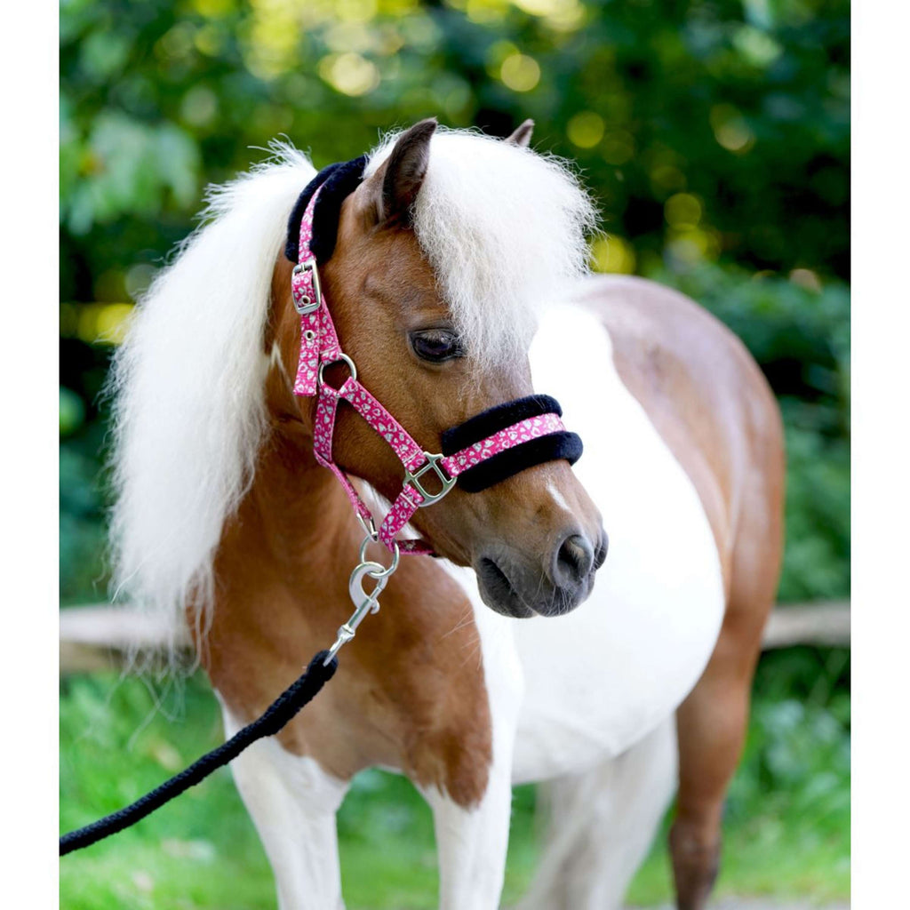 HB Cabestro Sunny Flower Fuchsia
