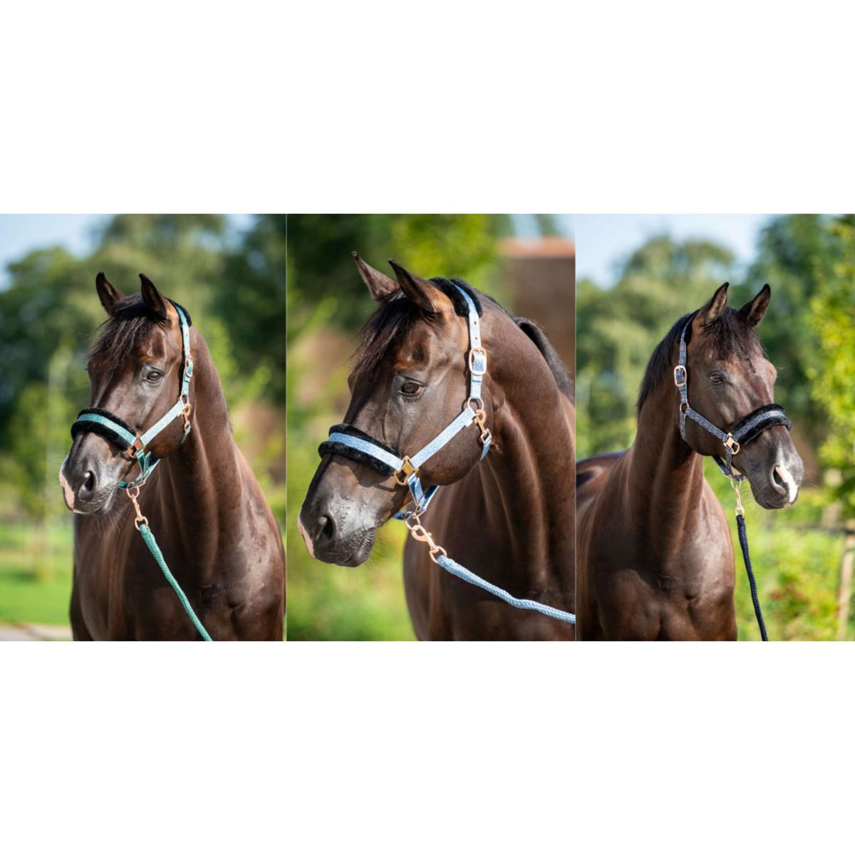 HB Cabezada Showtime Pioneer Azul hielo