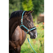 HB Ruitersport Cabezada Showtime Pioneer Verde Bosque