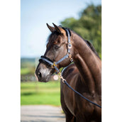 HB Cabezada Showtime Pioneer Negro