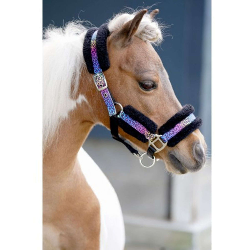 HB Cabestro Funny Little Sizes Negro/Rainbow