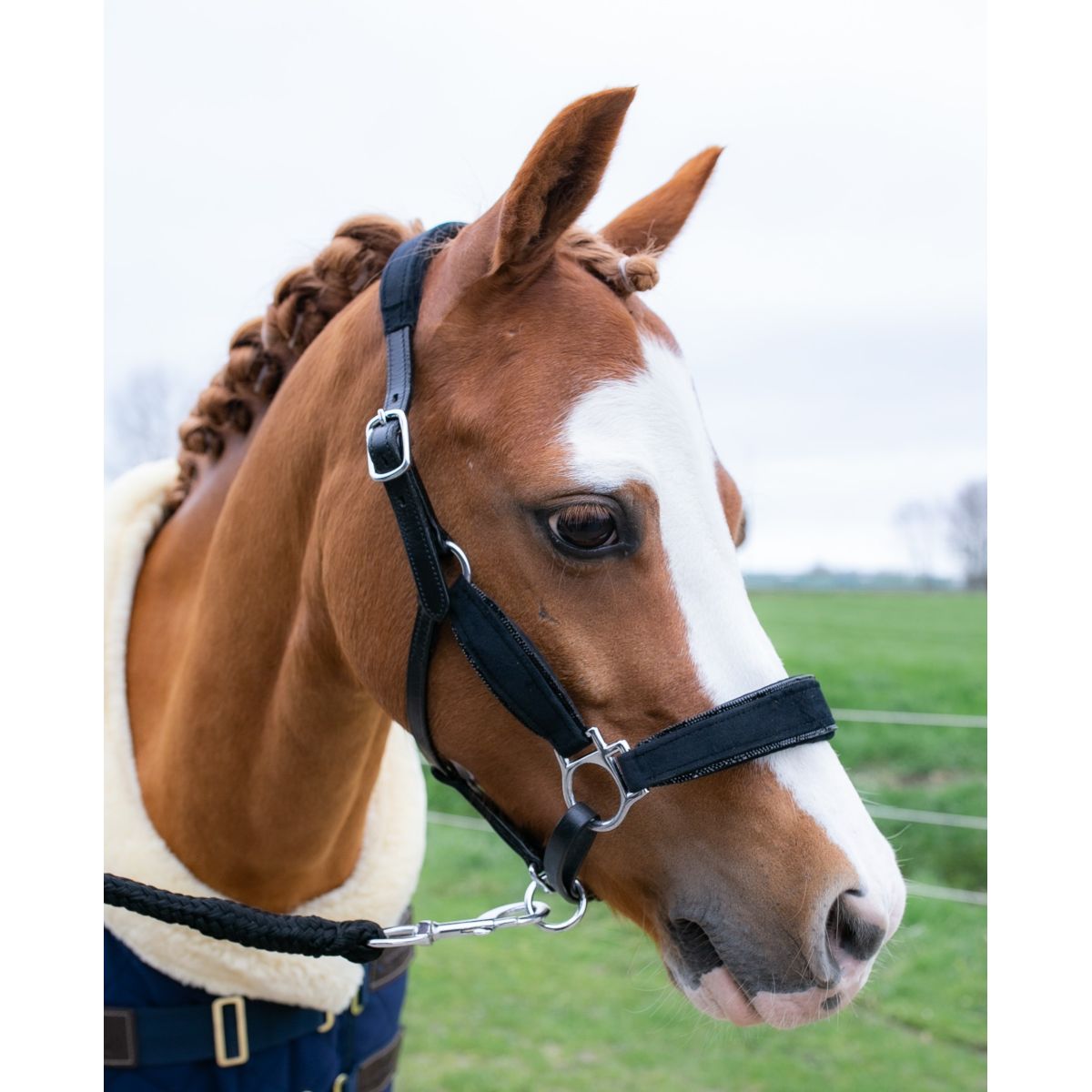 HB Cabezada Showtime Velvet Little Sizes Negro/Negro Brillo