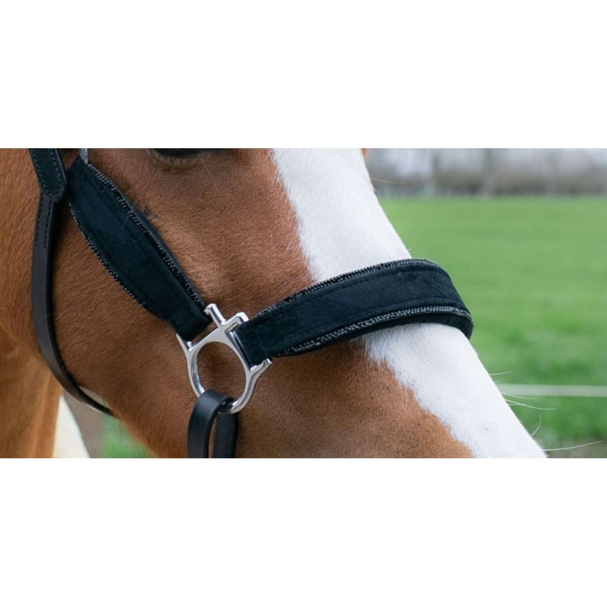 HB Cabezada Showtime Velvet Little Sizes Negro/Negro Brillo